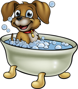 doggy bath time fun